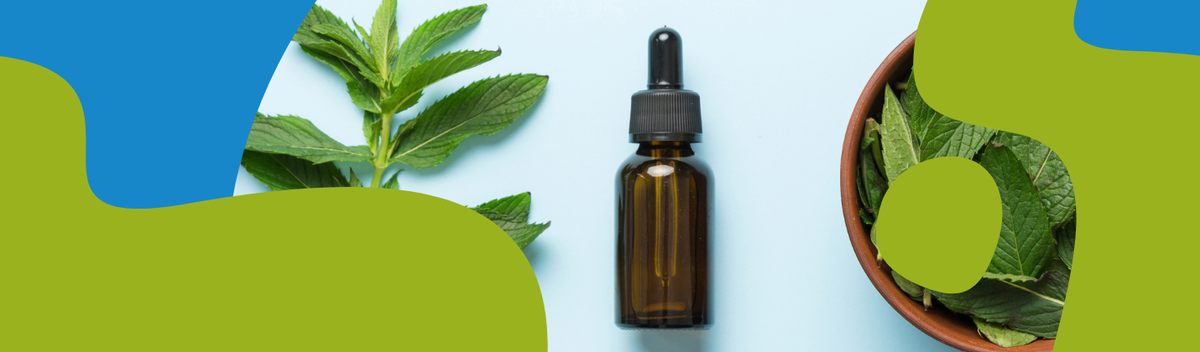 Spearmint Essential Oil: Properties & Uses