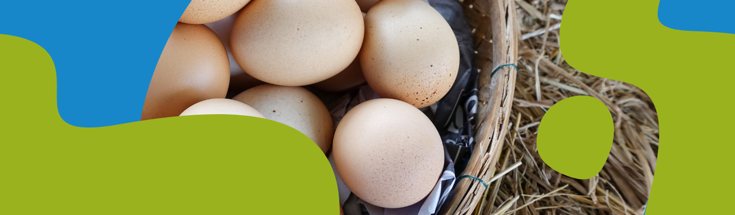 Choline (Vitamin B4): Benefits, Sources & Supplements