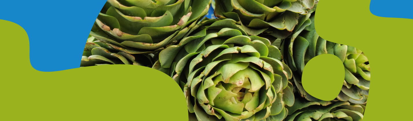 Artichoke: Health Benefits, Nutrition & Liver Support